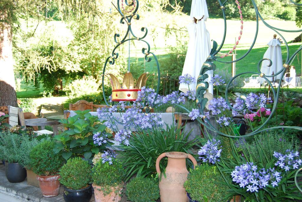 B&B Haus Zur Krone Oberriet Dış mekan fotoğraf