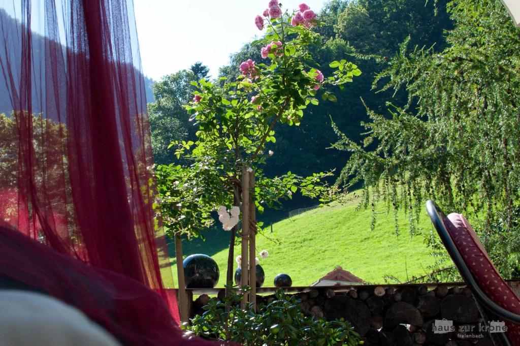 B&B Haus Zur Krone Oberriet Dış mekan fotoğraf